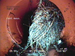 Root Penetration, CCTV in sewer Pipeline